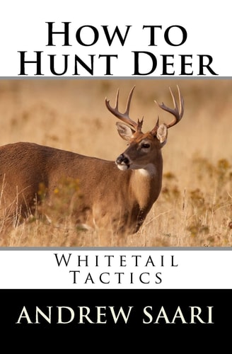 How to Hunt Deer Whitetail Tactics