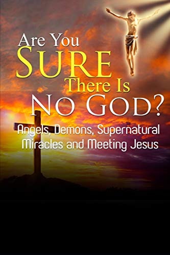 Are You Sure There Is No God? A Book of Miracles Including My Warning from Jesus Himself