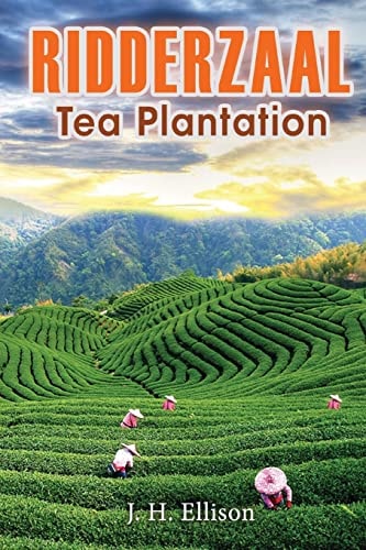 Ridderzaal -- Tea Plantation
