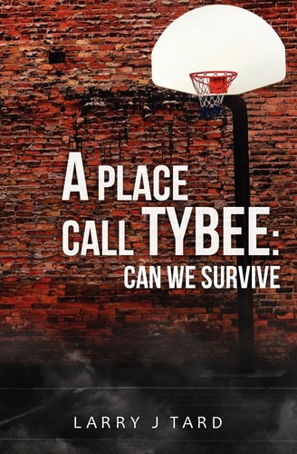 A Place Call Tybee Can We Survive