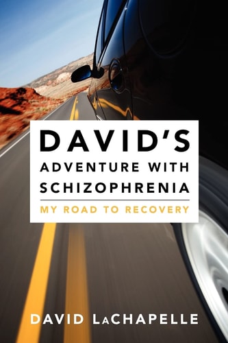 David's Adventure with Schizophrenia My Road to Recovery