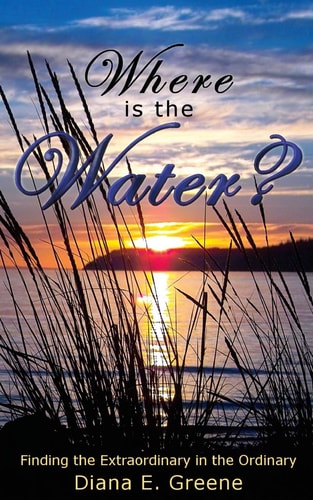 Where is the Water? Finding the Extraordinary in the Ordinary
