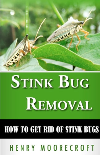 Stink Bug Removal How to Get Rid of Stink Bugs