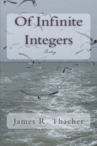 Of Infinite Integers