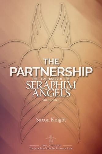 The Partnership -The Teachings of the Seraphim Angels - Book One