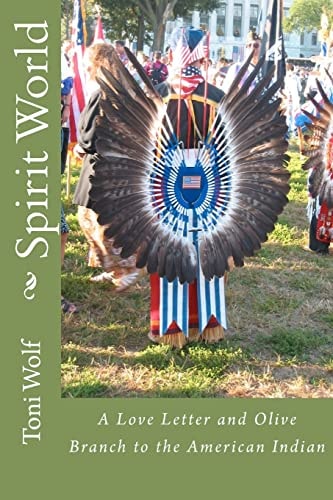 Spirit World A Love Letter and Olive Branch to the American Indian