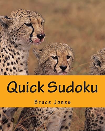 Quick Sudoku Fast, Fun, and Easy Sudoku Puzzles