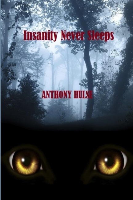 INSANITY NEVER SLEEPS