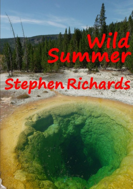 Wild Summer (Free Spirit Adventures: RV)