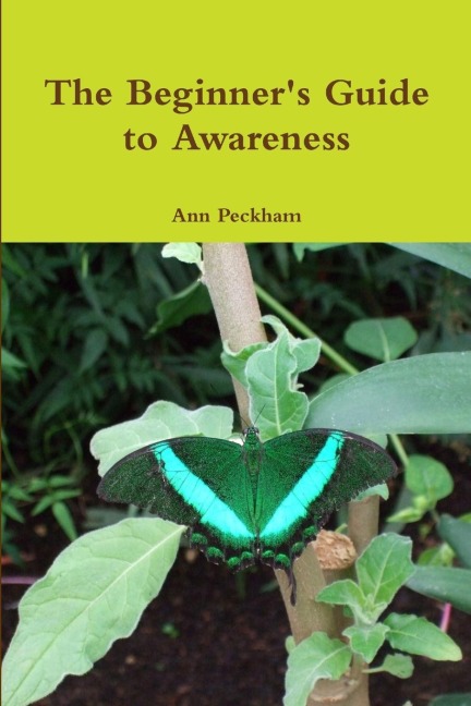 The Beginners Guide to Awareness