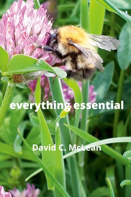 everything essential