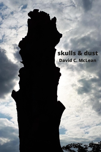 skulls & dust