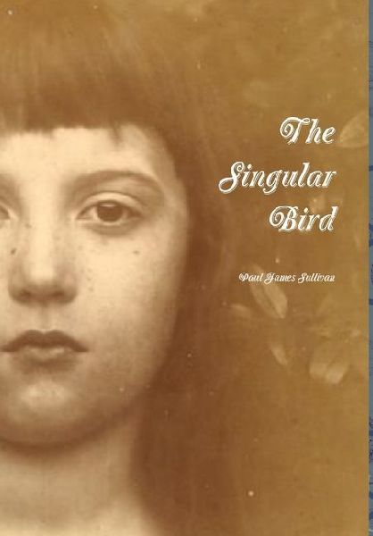 The Singular Bird