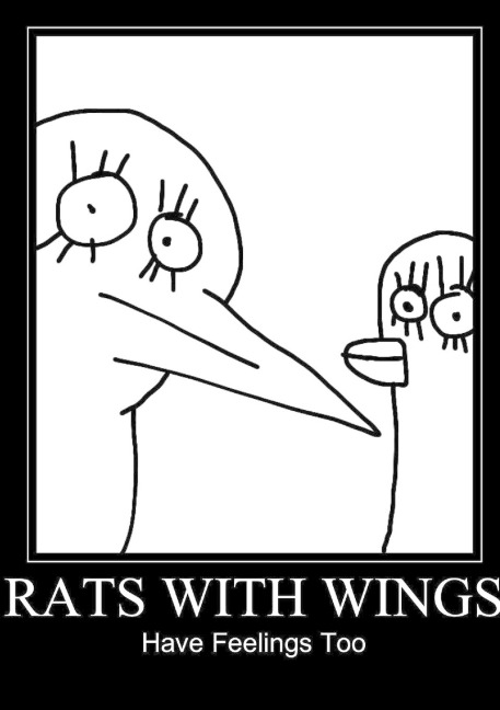 Rats With Wings Have Feelings Too