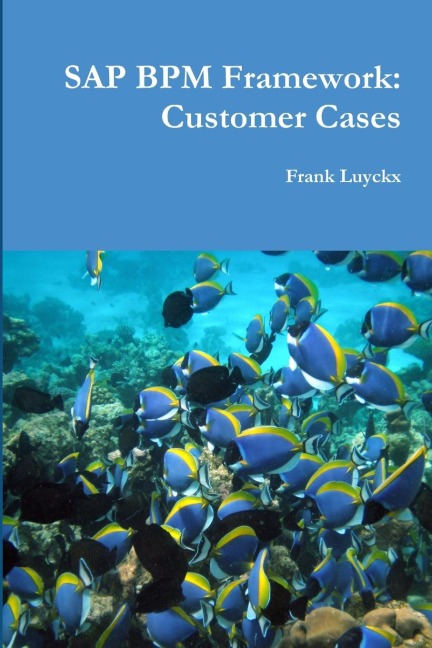 SAP BPM Framework: Customer Cases