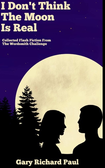 I Dont Think The Moon Is Real