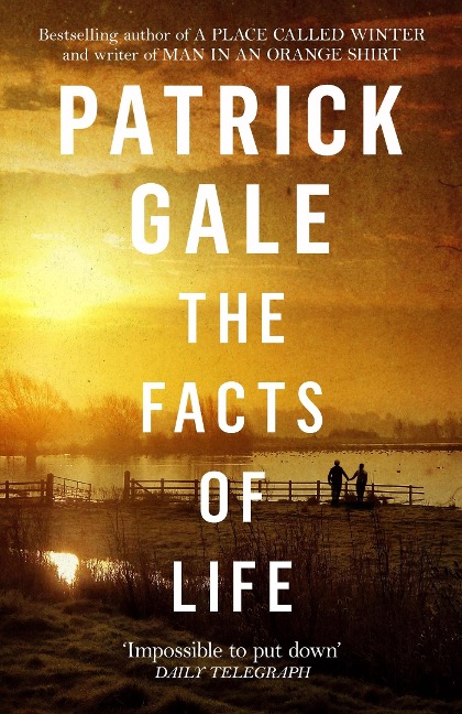 The Facts of Life: An epic, intimate novel of love, music and the life events that stay with us forever