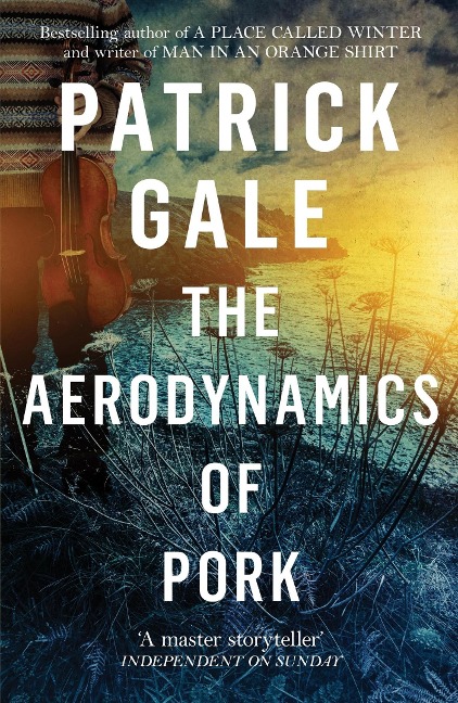 The Aerodynamics of Pork: A delicious debut novel of love, music and comedy, set in the early 1980s