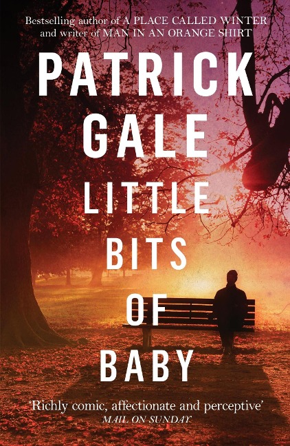 Little Bits of Baby: A quirky, comedic novel of breakdown, escape and the possibilities of finding love
