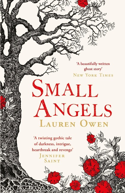 Small Angels: A twisting gothic tale of darkness, intrigue, heartbreak and revenge Jennifer Saint