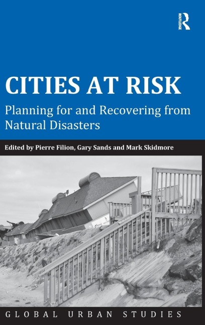 Cities at Risk: Planning for and Recovering from Natural Disasters