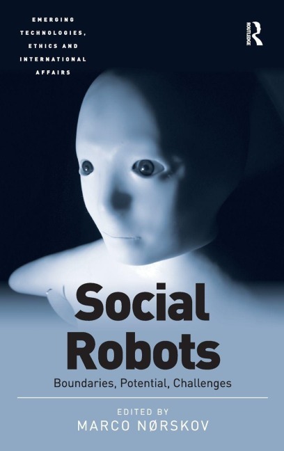 Social Robots: Boundaries, Potential, Challenges