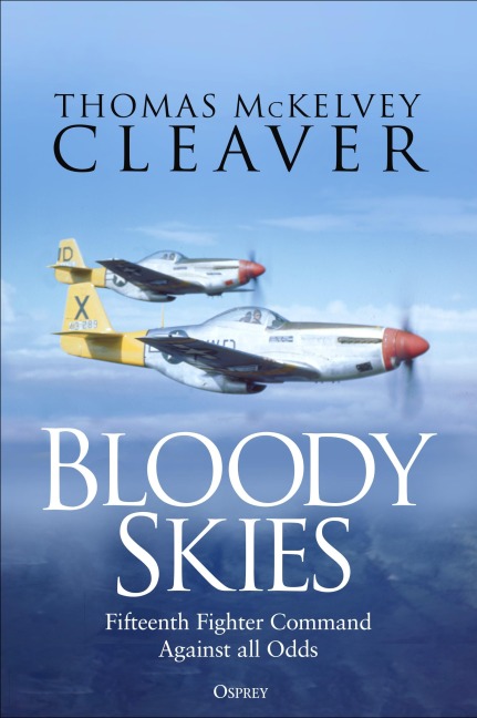 Bloody Skies: XV Fighter Command Against All Odds