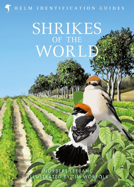 Shrikes of the World: THE BB/BTO BIRD BOOK OF THE YEAR