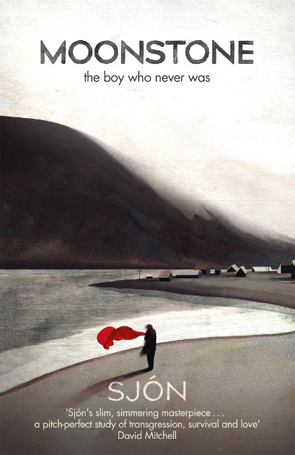 Moonstone: The Boy Who Never Was: 'A brief, brilliant jewel of a book' Guardian