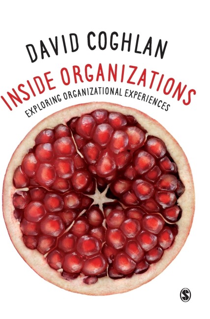 Inside Organizations: Exploring Organizational Experiences