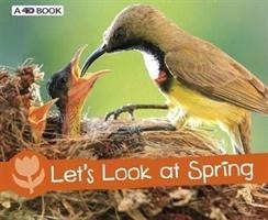 Lets Look at Spring