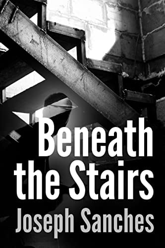 Beneath the Stairs Story of a City Kid