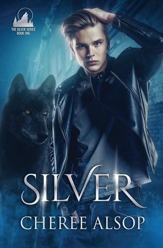 Silver The Silver Series Book 1