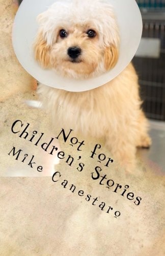 Not for Children's Stories Selected Tales of Evil Thought, Bad Fortune and Disillusionment