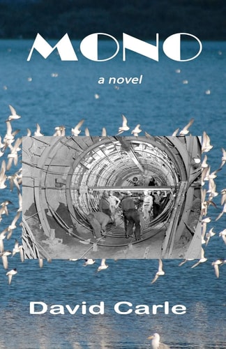 Mono A Novel