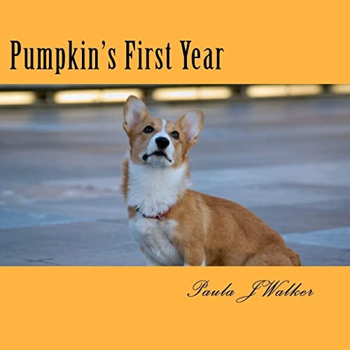 Pumpkin's First Year
