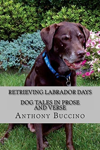 Retrieving Labrador Days Dog Tales in Prose and Verse