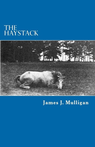 The Haystack A Novel