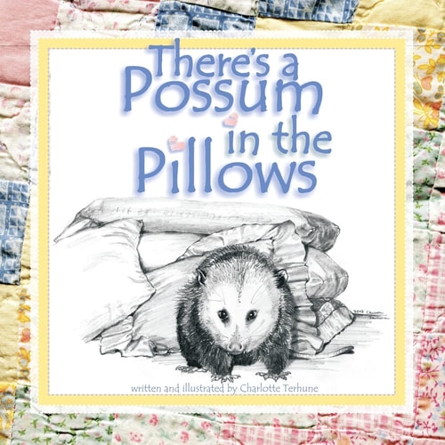 There's a Possum in the Pillows