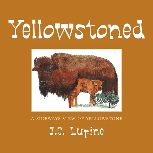 Yellowstoned A Sideways Look at Yellowstone