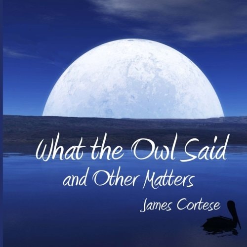 What the Owl Said and Other Matters