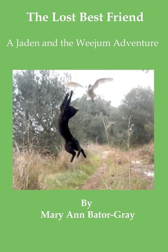 The Lost Best Friend A Jaden and the Weejum Adventure