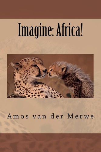 Imagine Africa!