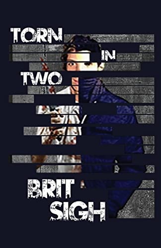 Torn in Two The Files of Tatum Soaren