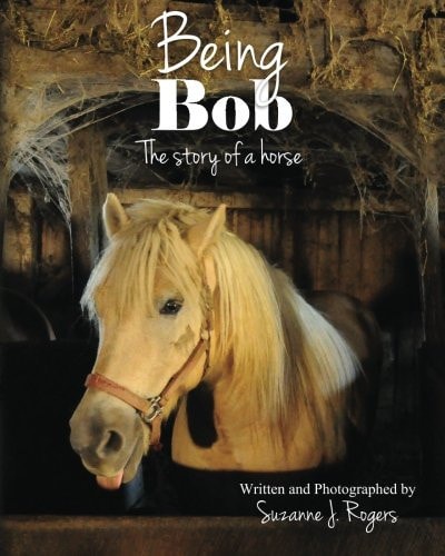 Being Bob The Story of a Horse
