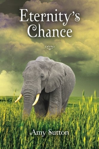 "Eternity's Chance"