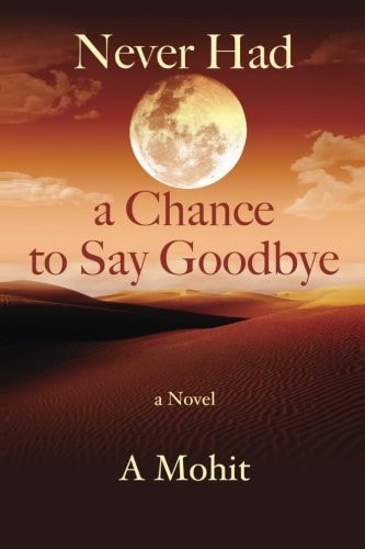 Never Had a Chance to Say Goodbye