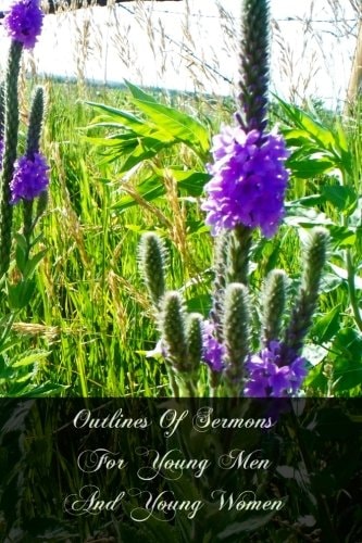 Outlines Of Sermons For Young Men And Young Women