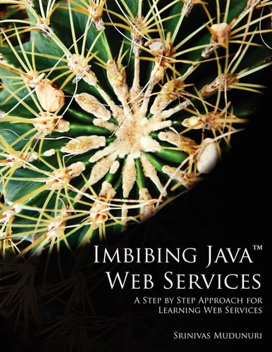 Imbibing Java Web Services A Step by Step Approach for Learning Web Services