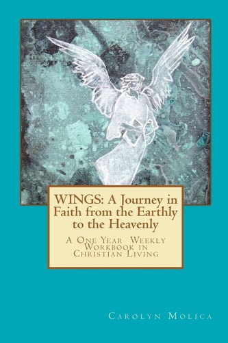 Wings A Journey in Faith from the Earthly to the Heavenly: A One Year Workbook in Christian Living
